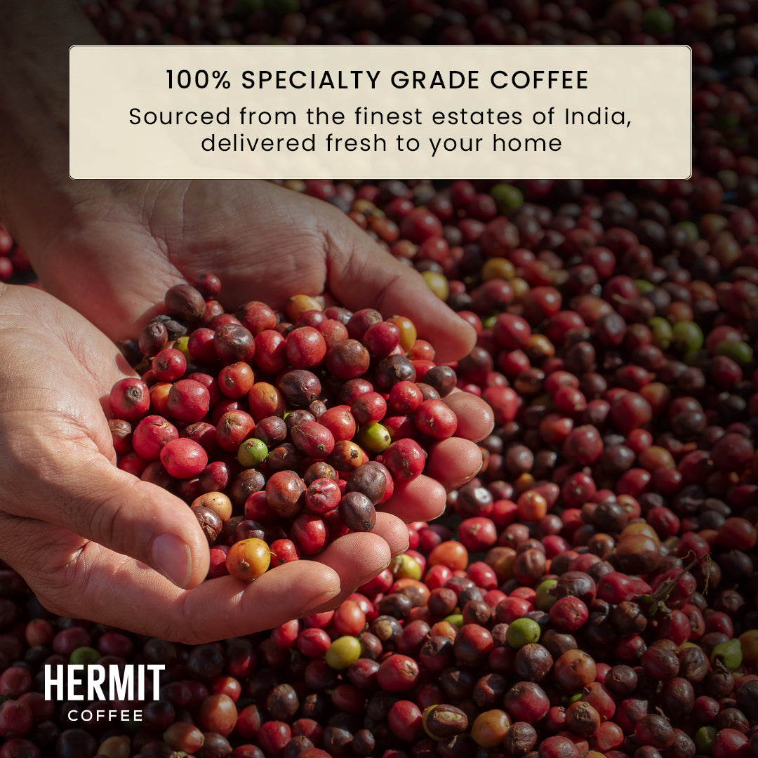 Hermit Coffee - Vienna Roast Coffee - Dark Roast Coffee - Coffee Cherry