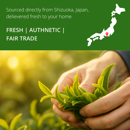 Ceremonial Grade Japanese Matcha Tea